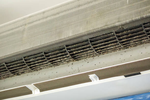 Best Home Air Vent Cleaning  in Stevensville, MT
